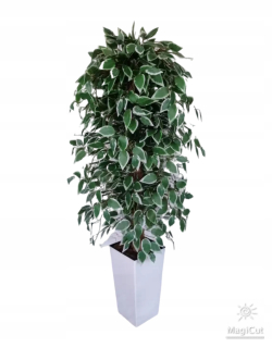 Umelé kvety,ovocie - Umelý strom Ficus Benjamina v bielom črepníku