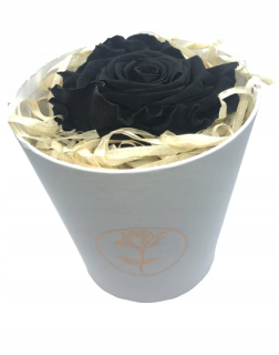 Večný ruže v krabici čiernej flowerbox boxu