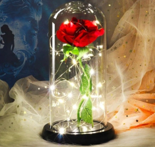 Večný ruže červenou LED skla 21,5 cm