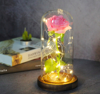 Večný ruže v pohári pohári Truhlík ruže + LED