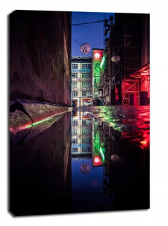 WROCLAW NEON - obrázok na plátne