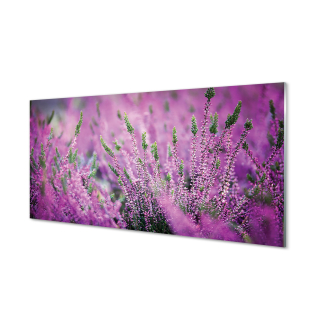 Obraz moderného plexiskla v Heather Field 140x70