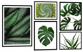 Hudba plagátu plagátu v rámci 153 x 90 cm