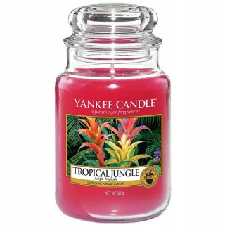Tradičná sviečka Paraffin Tropical Jungle Yankee Sviečka 1 ks.