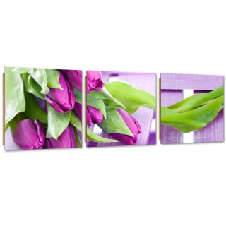 Sada maľieb Deco Panel, fialové tulipány v bulip