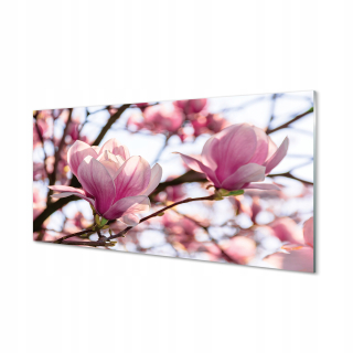 Fotografie na akrylovom strome Magnolia 140x70 cm