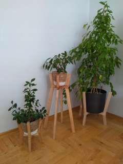 Stojan na kvety - Sada drevených záhonu 3 kusy