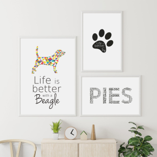 Sada plagátových plagátov - Aljašský malamute vzdelávacie, umenie, zvieratá bez rámu 29,7 x 42 cm