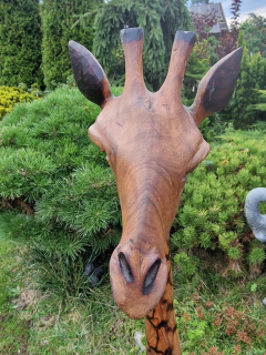 Drevená žirafa z Afriky. 160 cm