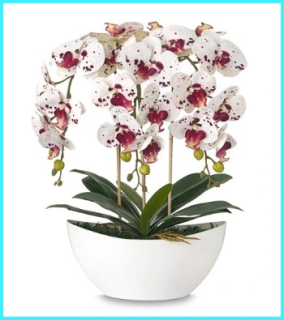 Umelá orchidea v bielom hrnci veľký ako živá