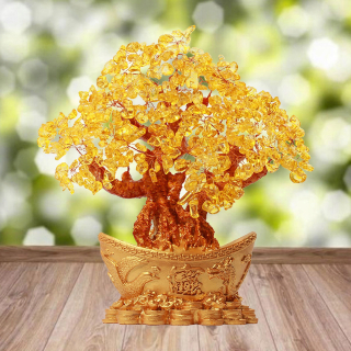 Peniaze stromu Feng Shui
