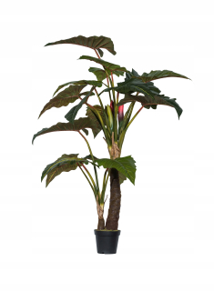 Efektívne umelé vysoké Alocasia 220 cm je znázornené