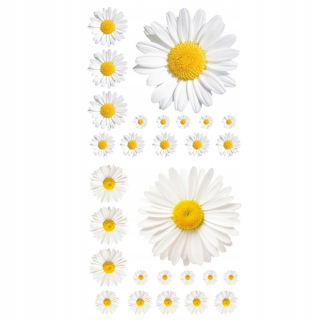 Vymeniteľné Daisy Daisy Daisy Flower Nut