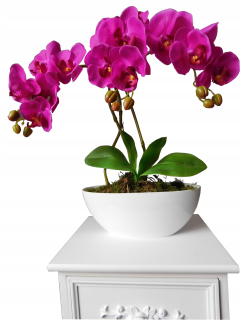 Orchidea umelá ako skutočný, silikónu, zázrak!