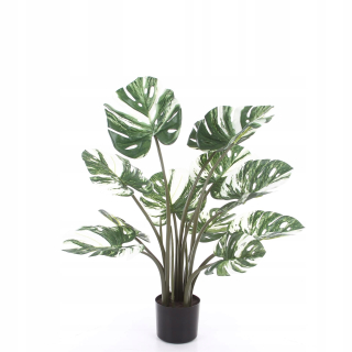 Umelé monštrum variegata 90 cm rozvetvené