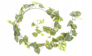 Umelé brečtan šplhavnice Garland 180 cm ležadlo
