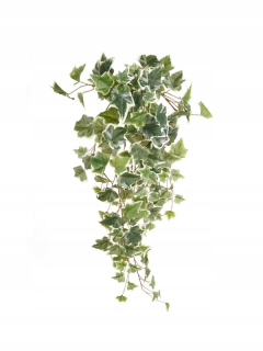 Umelé brečtan liana Hedera 70 cm zeleno-biela