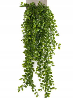 Umelé Ficus pumila čerpadlo 80 CM CRZERS Fikus