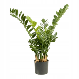 umelé Zamioculcas 90 cm umelý pred