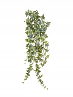 Zeleno-biela brečtan Creeper 100 cm Header Creeper