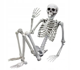 ĽUDSKÁ KOSTRA Z HALLOWEENSKÝCH KOSTI 170CM