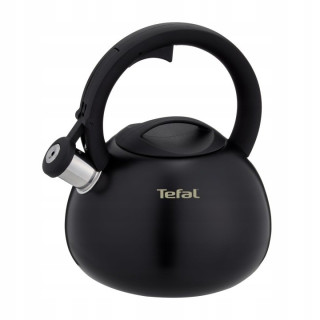Tefal N4180410: tradičná oceľová kanvica 2,5 l s píšťalkou