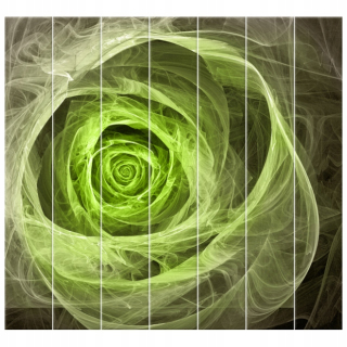 Foto -Screen 210x195 Rose Fratal Lime