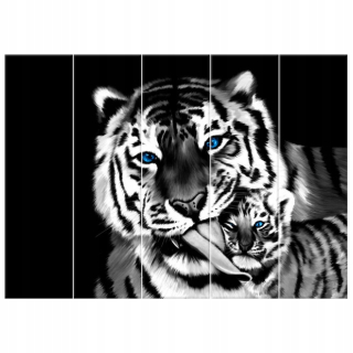 Tlačený obrázok vytlačený obrázok Tigers 225x160 cm